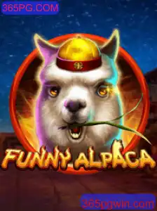 Descubra o Mundo de Aventuras e Diversão em FunnyAlpaca