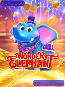 Conheça o Fascinante Mundo de WonderElephant